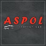 Logo: ASPOL Perfect Car